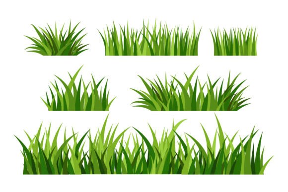 Realistic Dry Grass Graphics for Natural Brand Illustrations