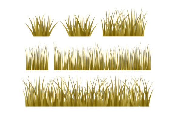 Realistic Dry Grass Vector Illustrations for Natural, Organic Design Graphics
