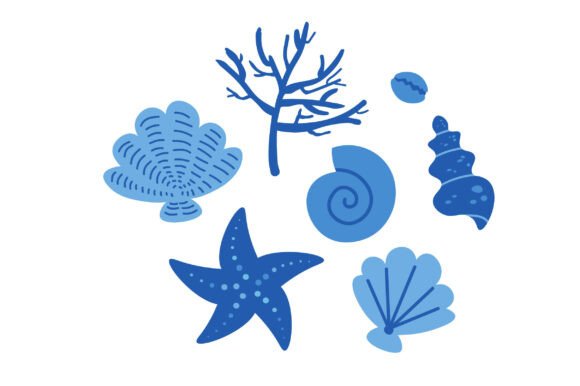 Set with Textured Seashells and Corals – A Designer’s Review for Real Client Projects
